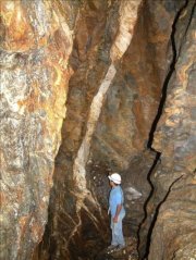 goldvein_1299937720.jpg