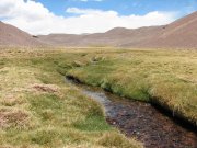 arroyo_tributario_1264601281.jpg