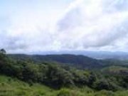 finca_19_1251951507.jpg