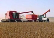 arrendamiento a precio minimo de campo para cultivo de soja 