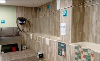 Se traspasa peluqueria canina con autolavado y venta de articulos