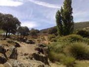 Finca 25.000m2 proxima a Talavera de la Reina 