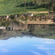 Cortijo El Molino