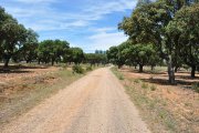 finca-dehesa con granja de perdices