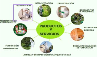 empresa-certificada-y-operativa-se-busca-comprador-2_1758638940.jpg