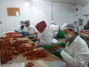  Empresa familiar carnica a  nivel nacional