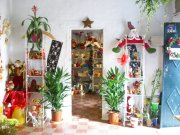 Floristeria jardineria