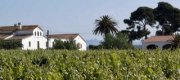 Cava y viñas en el Alt Penedes