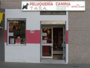 peluquería canina