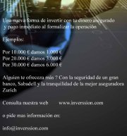 Socio capitalista