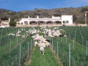 Inversor  para bodega de vinos o Parque de ocio