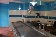Traspaso de pescadería