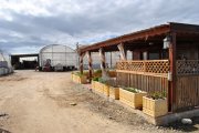 vivero productor 