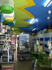 traspaso tienda de animales la llagosta