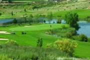 Vendo o alquilo accion de Golf derecho de uso familiar