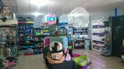 Tienda de mascotas con peluquería canina