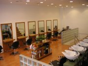 peluqueria