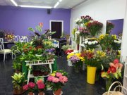 Traspaso de Floristería