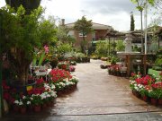 garden y posibilidad de  vivienda en el mismo sitio