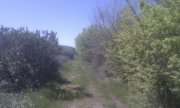Finca con arboleda y Vivero Forestal