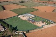 Residencia Canina y Centro de educación y adiestramiento