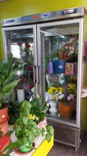 Chollo en traspaso  FLORISTERIA