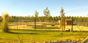 Centro Canino en pleno funcionamiento 