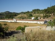 VENDO  GRANJA  Avicola