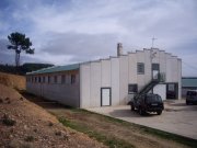 Explotación de ganado caprino
