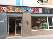 Floristería Semillería