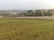finca 17.000m2 a 50km de madrid 