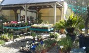 traspaso centro de jardineria y huertos de ocio