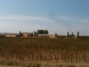 Naves de porcino con Finca rústica