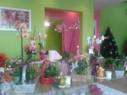 Traspaso de Floristeria en pleno rendimiento.