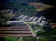 VENTA GRANJA ENGORDE DE POLLOS