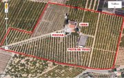 finca agricola