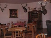 VENDO HOSTAL dedicado a la caza