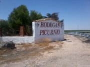 bodega picurnio
