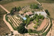 Finca rústica 74 Ha. D.O.Penedés