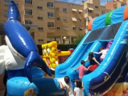 Vendo negocio en funcionamiento hinchables