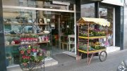 Traspaso Floristería
