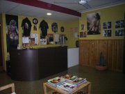 centro de tatuajes o estética