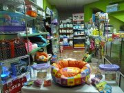 Alicante, Traspaso Tienda Animales