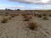 Parcela 1.900m2 a 58Km Madrid con preciosa viña por solo 5.000 Euros