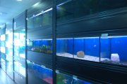 tienda de animales con peluqueria canina