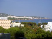 terreno vista mar palma nova