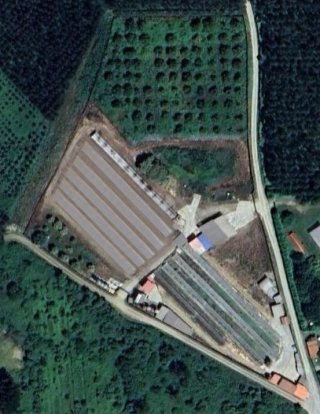 Venta granja de conejos en Abegondo (A Coruña)