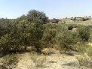 Finca a 40km de Madrid con permiso para construir 