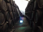 Venta o arrendamiento de Bodega