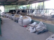 Producción y comercialización de leche fresca pasterizada